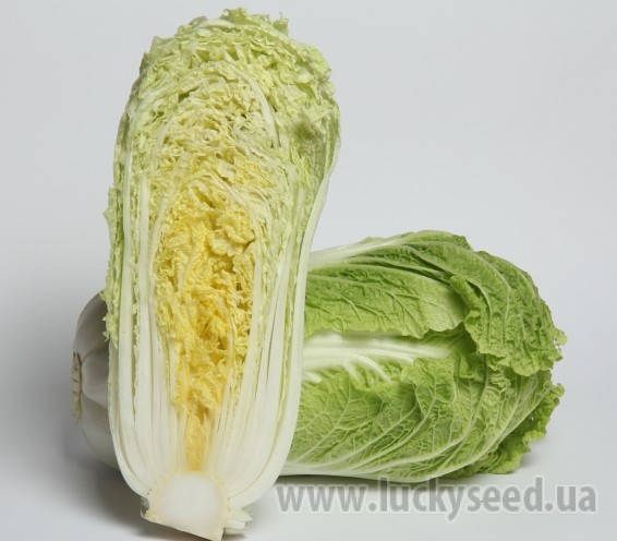 

Зимородок F1 2500 Lucky seed Капуста Пекінська Насіння (Капуста Пекинская Семена)