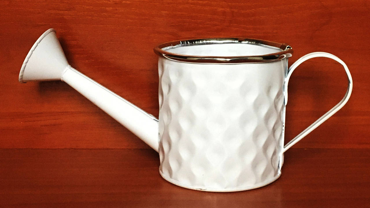 

Лейка 139224 металл (10х25х10 см)