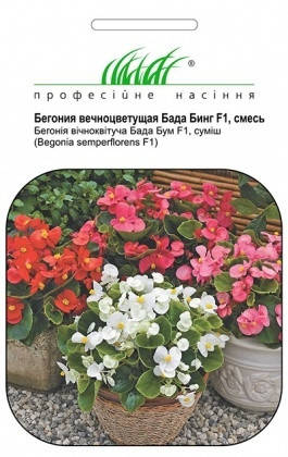 

Семена Бегония вечноцветущая Бада Бинг F1 Смесь 20 семян Syngenta, Разные цвета