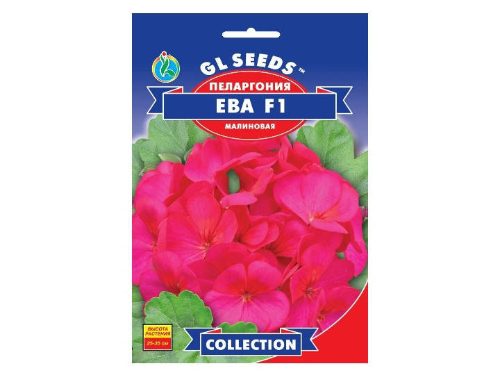 

Пеларгонія Ева зональна F1 collection 5шт