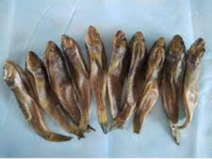 

Азовский бычек