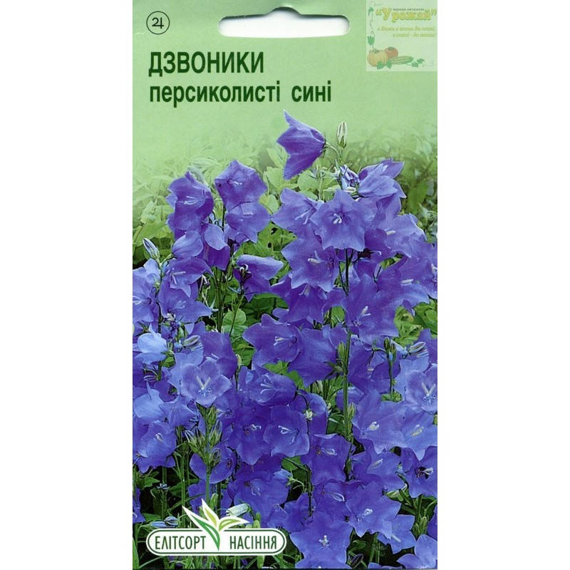 

Семена цветы Колокольчик персиколистный синий, 0,1 г