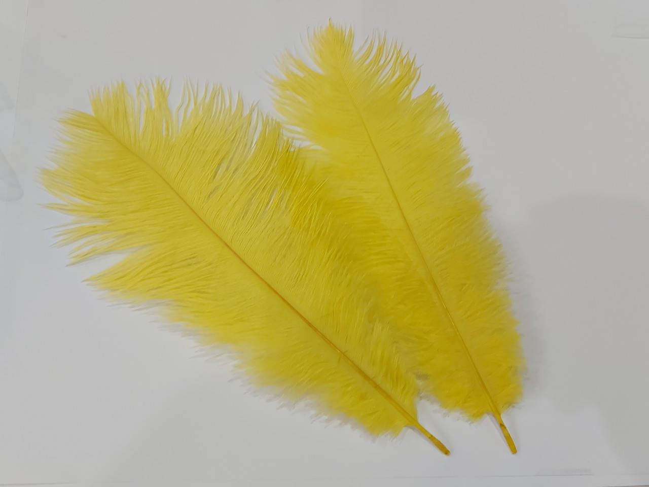 

Перо страуса 25-30 см, жовте, Желтый