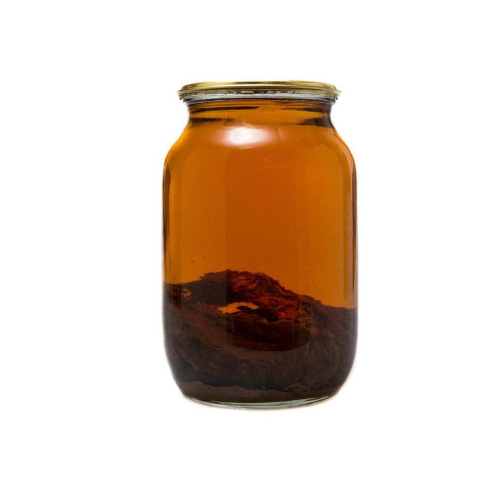 

Кастореум Бобровая струя (вытяжка), 0,5л 22%