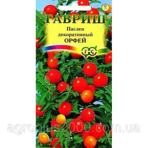 

Семена Паслён декоративный Орфей 12 семян Гавриш