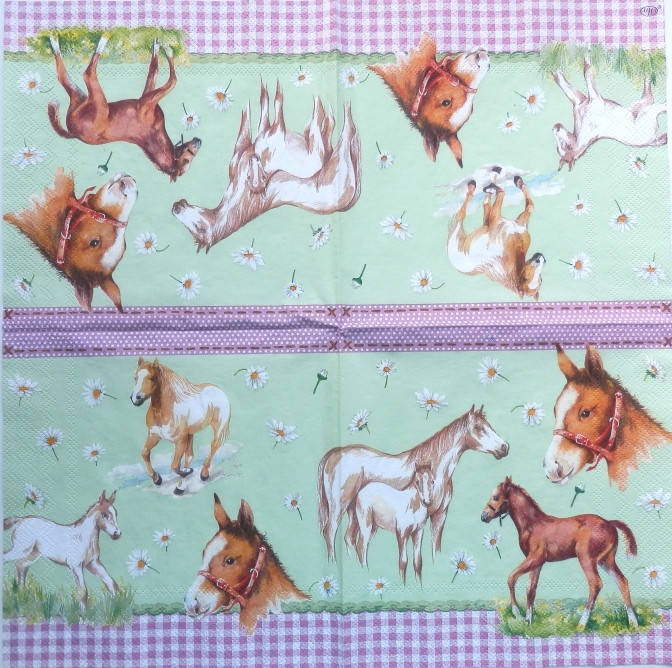 

Салфетка для декупажа Ж -45 (33х33см)