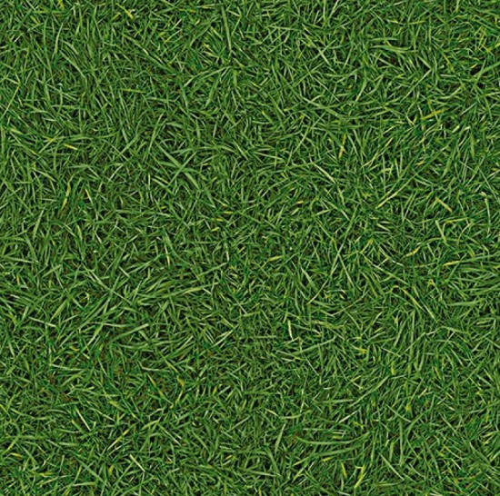 

Линолеум IVC Neo Grass 025 ширина 4.0 м