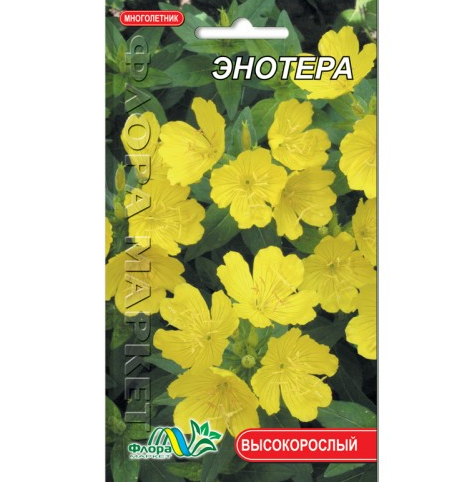 

Энотера цветы однолетние, семена 0.1 г, Желтый