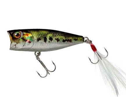 

Японские попперы Jackall Splash Popper SK-Pop (53мм; 6,5грамм)