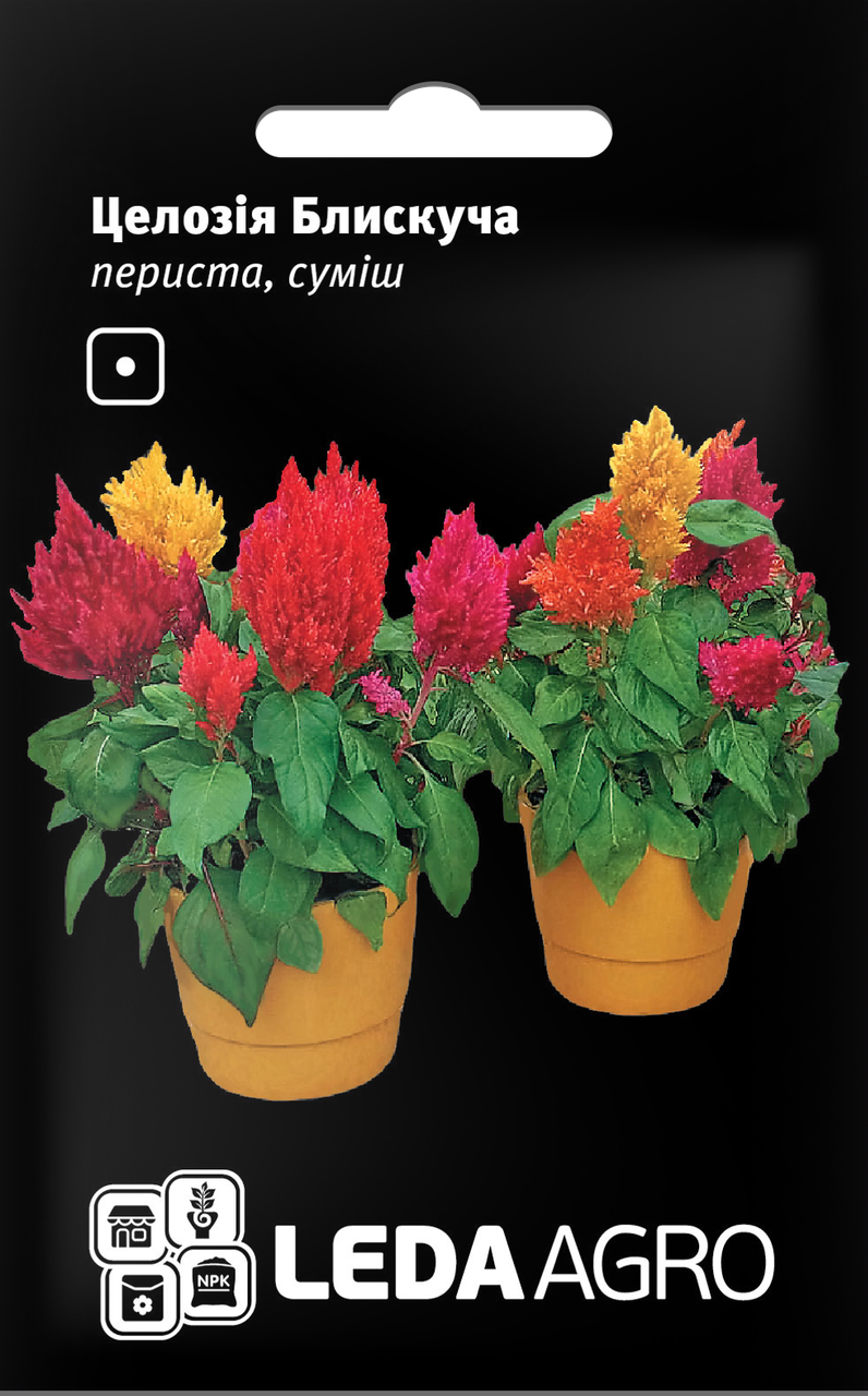 

Семена Целозия Блестящая перистая смесь 0,01г LEDAAGRO