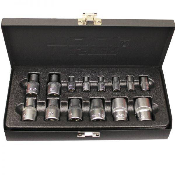 

Набор насадок E-TORX MasterTool CrV 14 предметов (78-1414)
