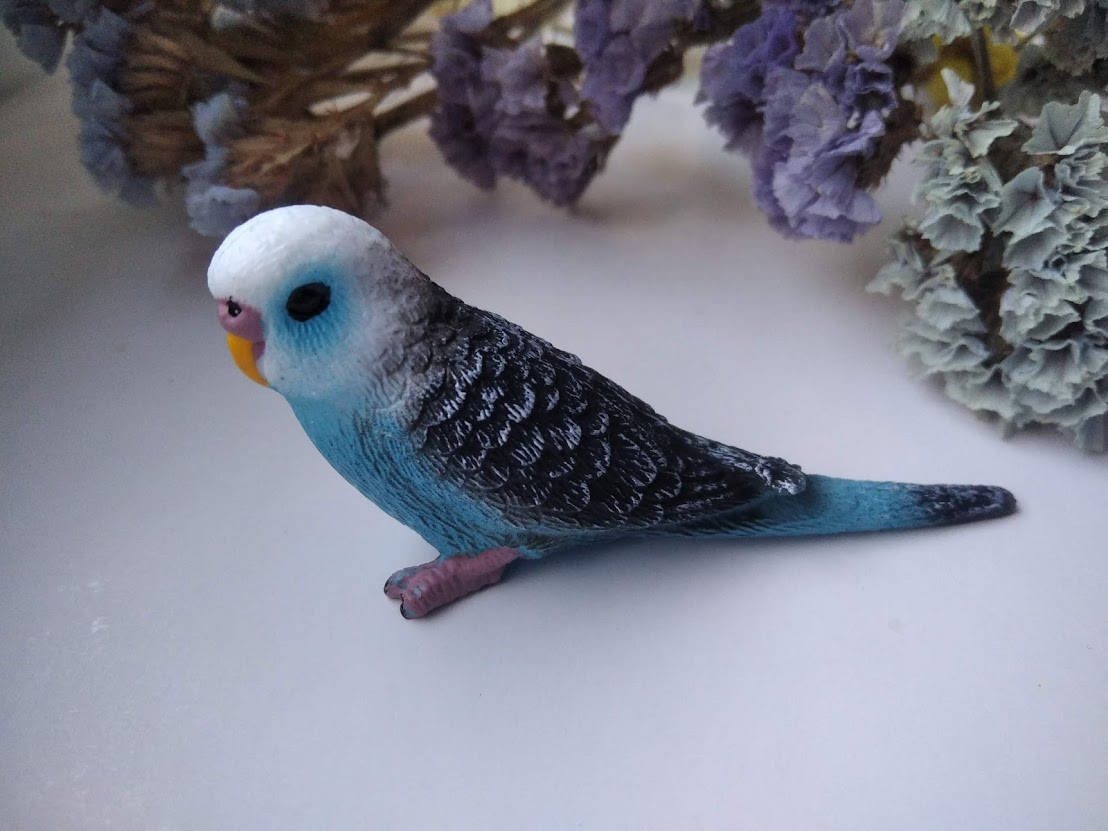 

Силиконовый молд 3 д "Попугайчик"