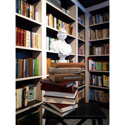 

Пиаже Жан. Речь и мышление ребенка.