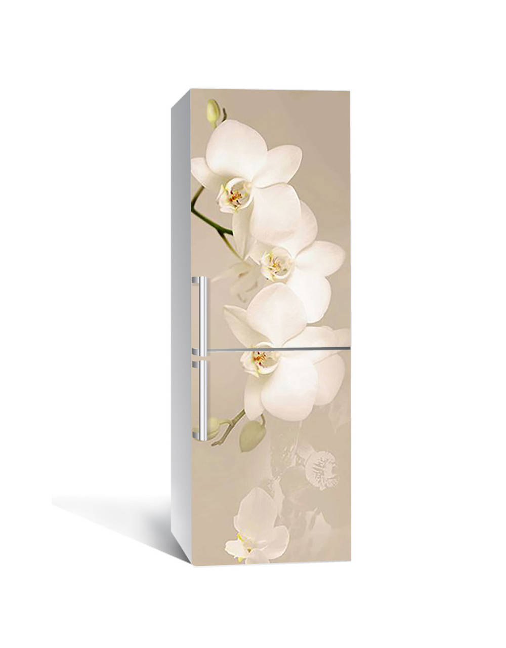 

Наклейка на холодильник Zatarga «Орхидея беж » 650х2000 мм виниловая 3Д наклейка декор на кухню самоклеящаяся, Разные цвета
