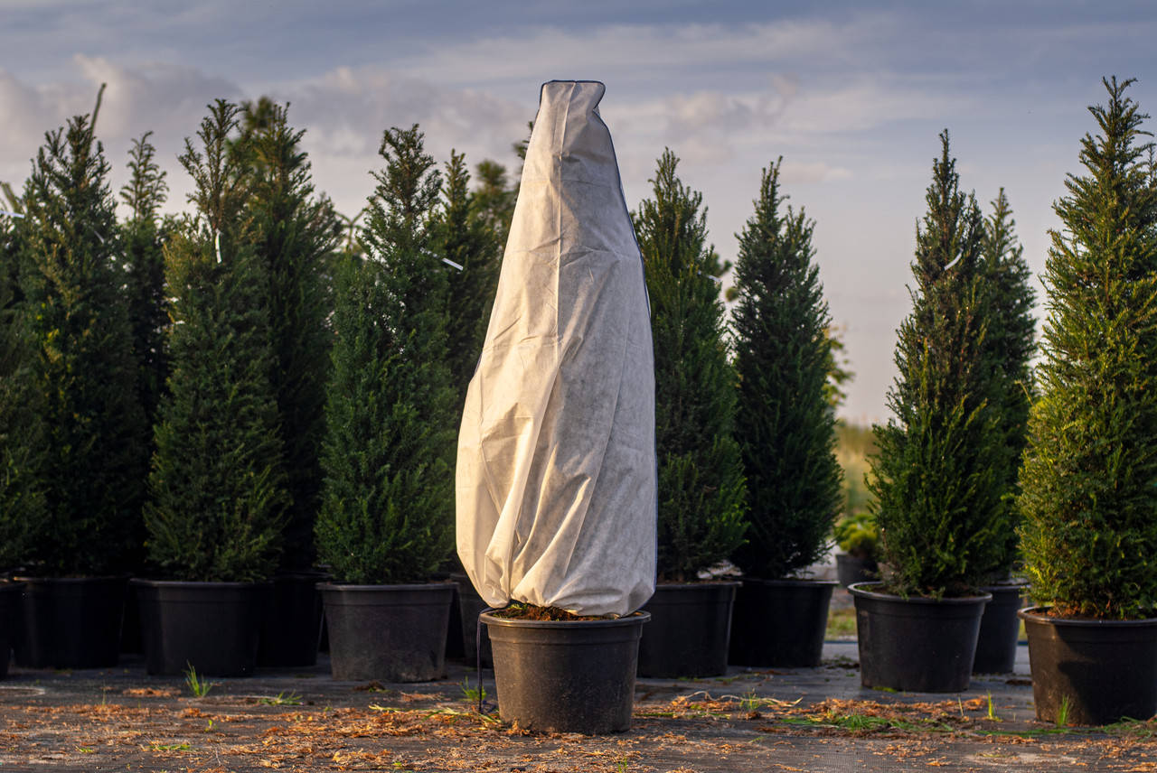 

Чехол для укрытия растений 160х160 "КОНУС" с фиксатором GARDENLIFE, Белый