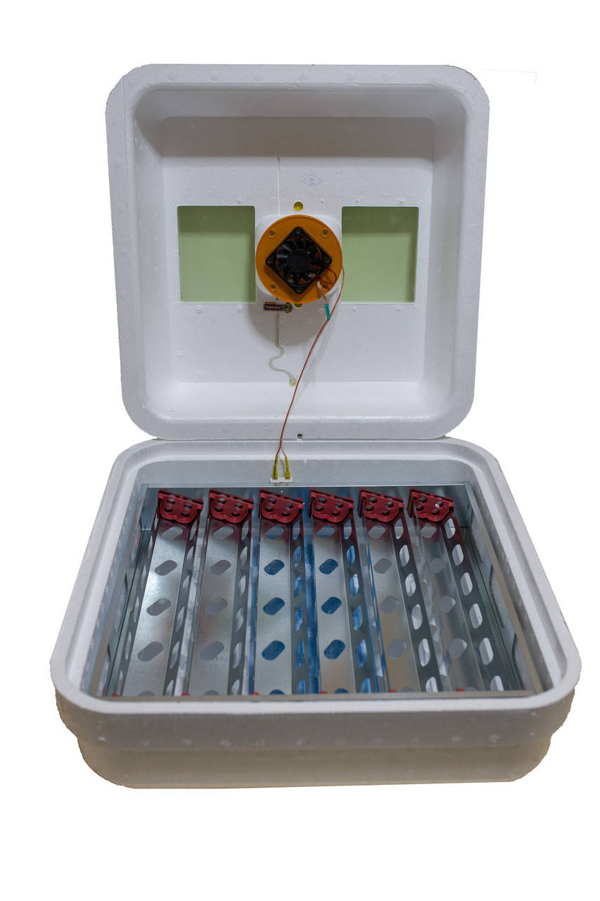 

Инкубатор автоматический Рябушка Turbo 42 с металлическим модулем автопереворота