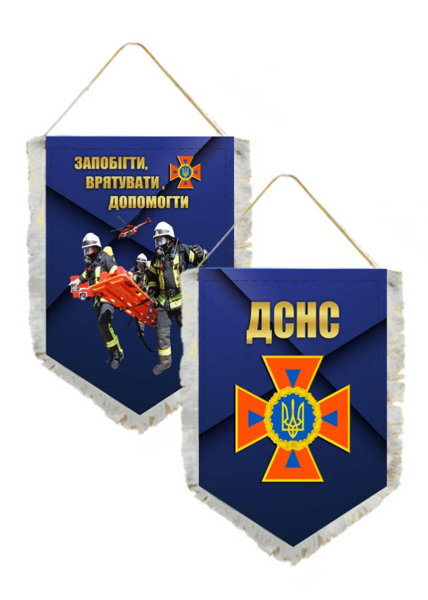 

Вымпел Двухсторонний ДСНС 14х19 см