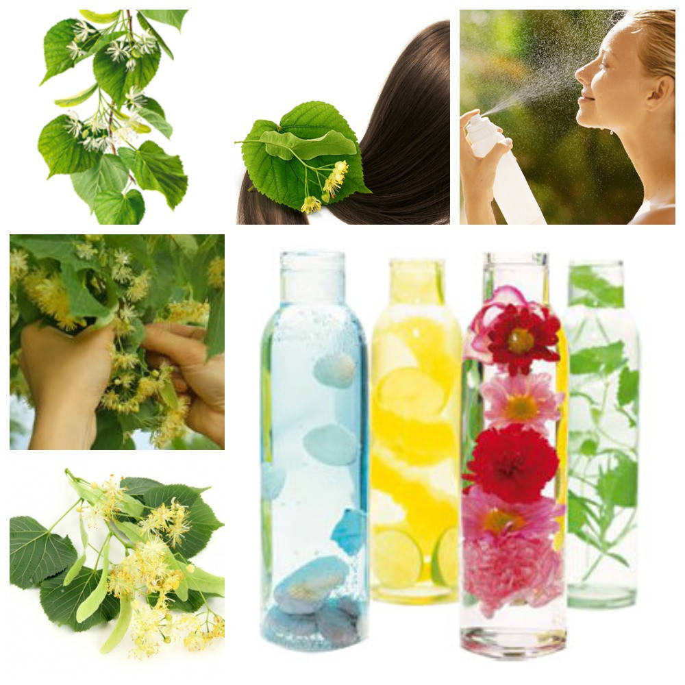 

Гидролат Липы, 1 литр