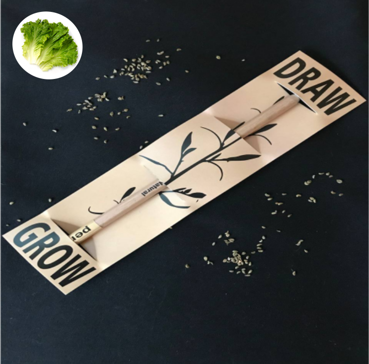

Растущий карандаш Draw&Grow (салат)