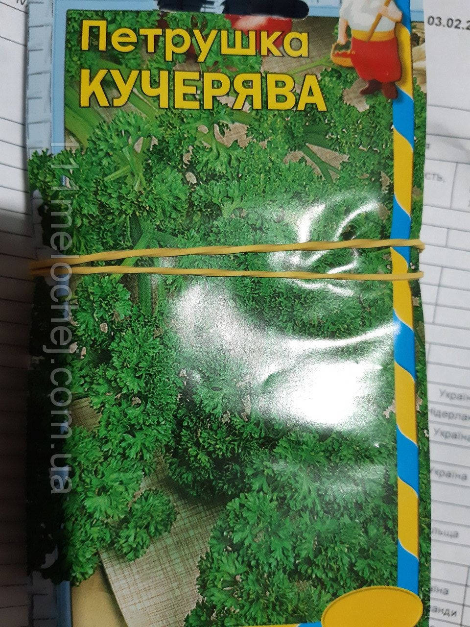 

Петрушка кучерявая Моспоп