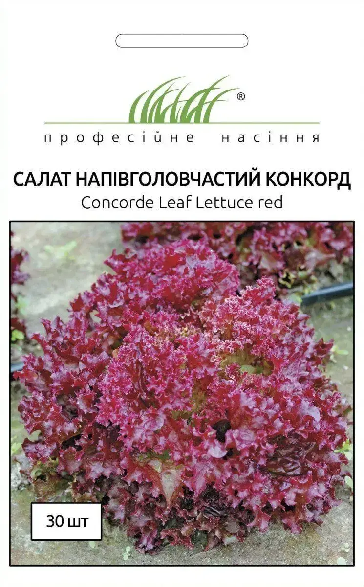 

Салат Конкорд 30шт.