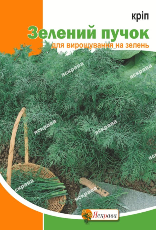 

Укроп кустовой Зеленый пучок 20 г, семена Яскрава