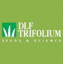 

Газонная трава DLF Trifolium PLAYGROUND 1 кг на вес из мешка, Зелёный