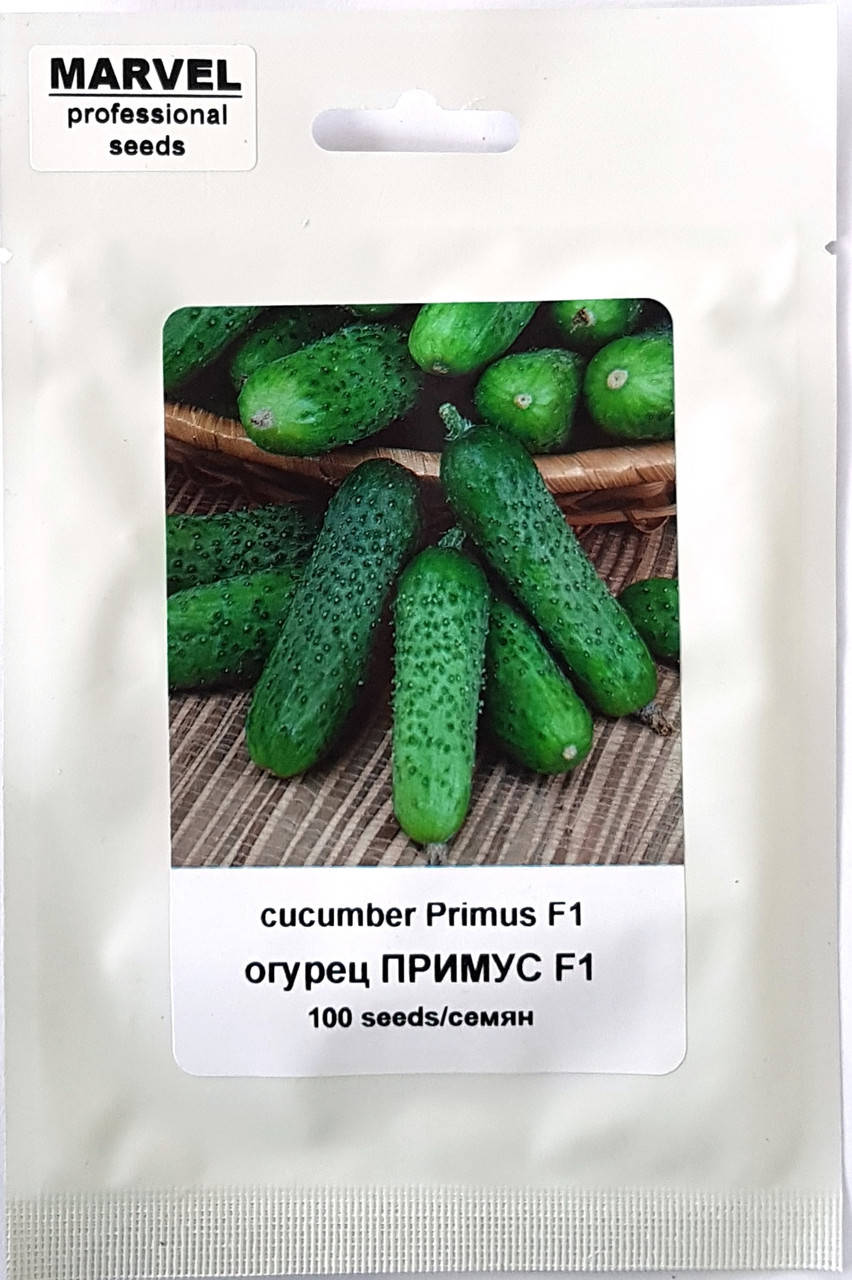 Меренга Огурцы Купить Семена
