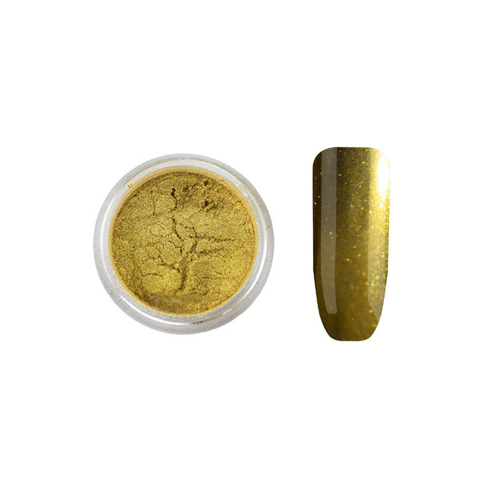 

Зеркальная пудра ANVI Professional№03 Gold Rush 1.2 г (7013Gu)