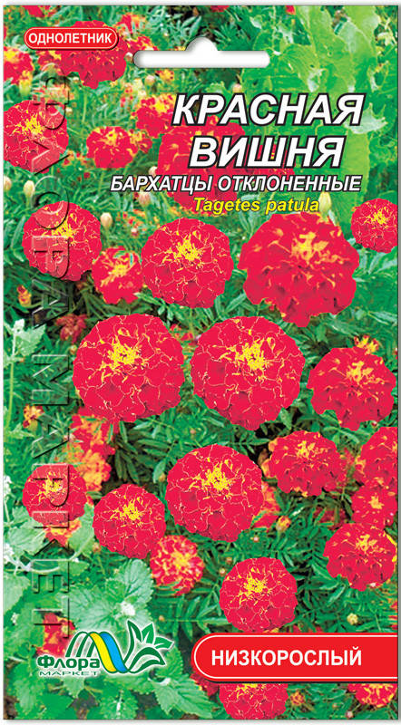 

Семена бархатцы Красная вишня Флора маркет, Красный