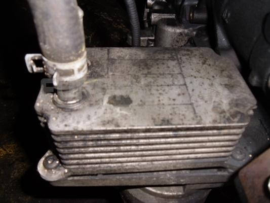 

Теплообменник (Радиатор масляный) Ford Transit 2.4di, 2.4tdci, 2.4tde 2000-2006 YC1Q-6B624-AK 11779