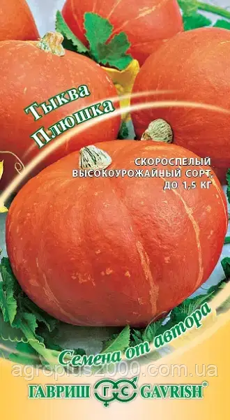 

Семена Тыква Плюшка 2 грамма Гавриш