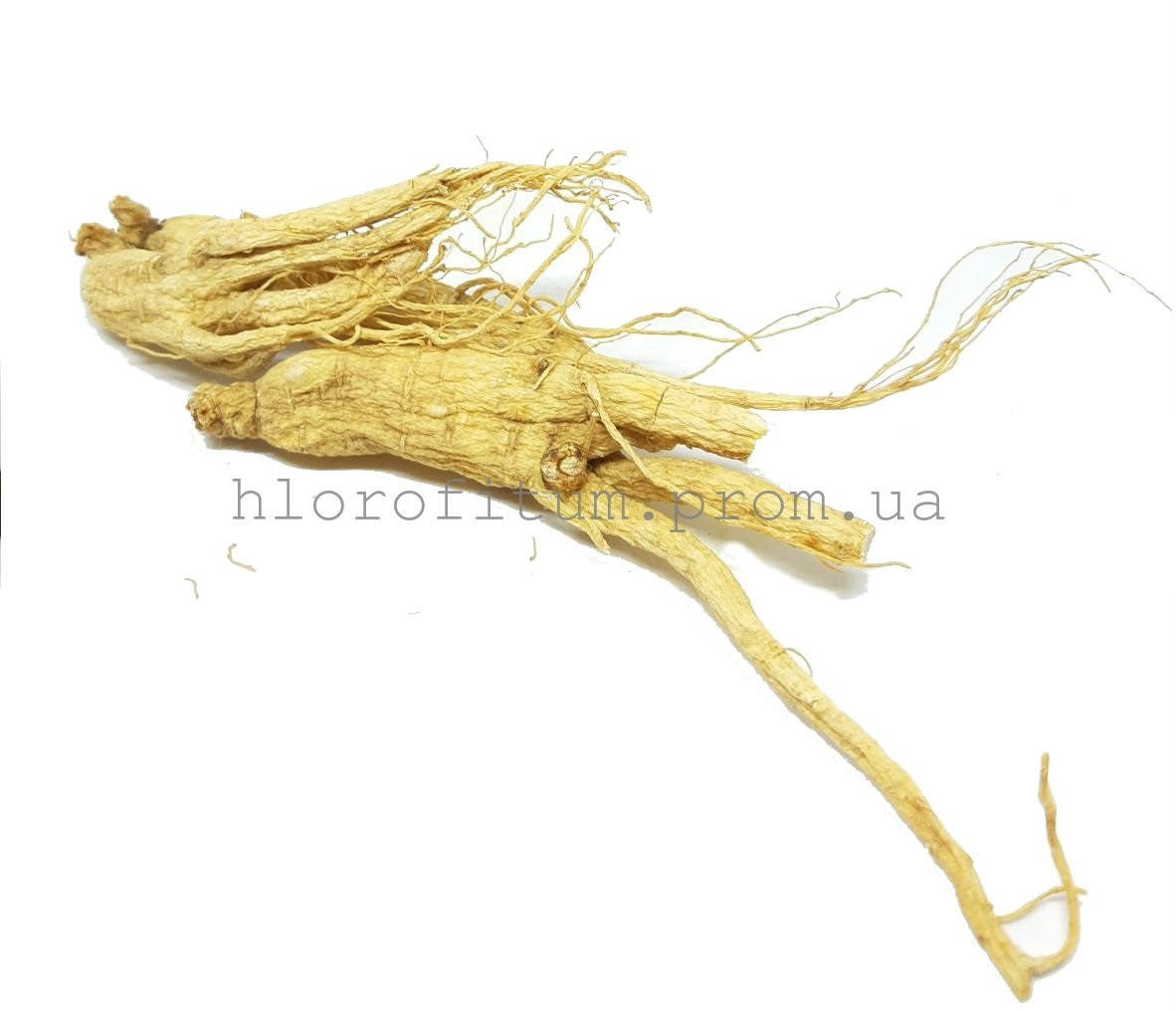 

Женьшень корень 10 грамм (Panax Ginseng)