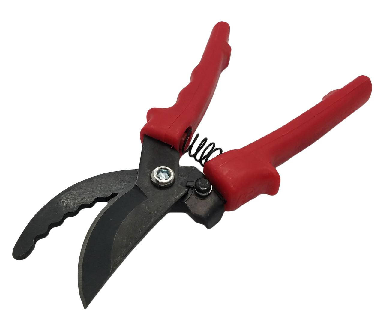 

Секатор калённый