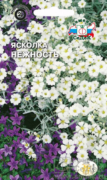 

Семена Ясколка Биберштейна Нежность 0,1 грамма Седек, Белый