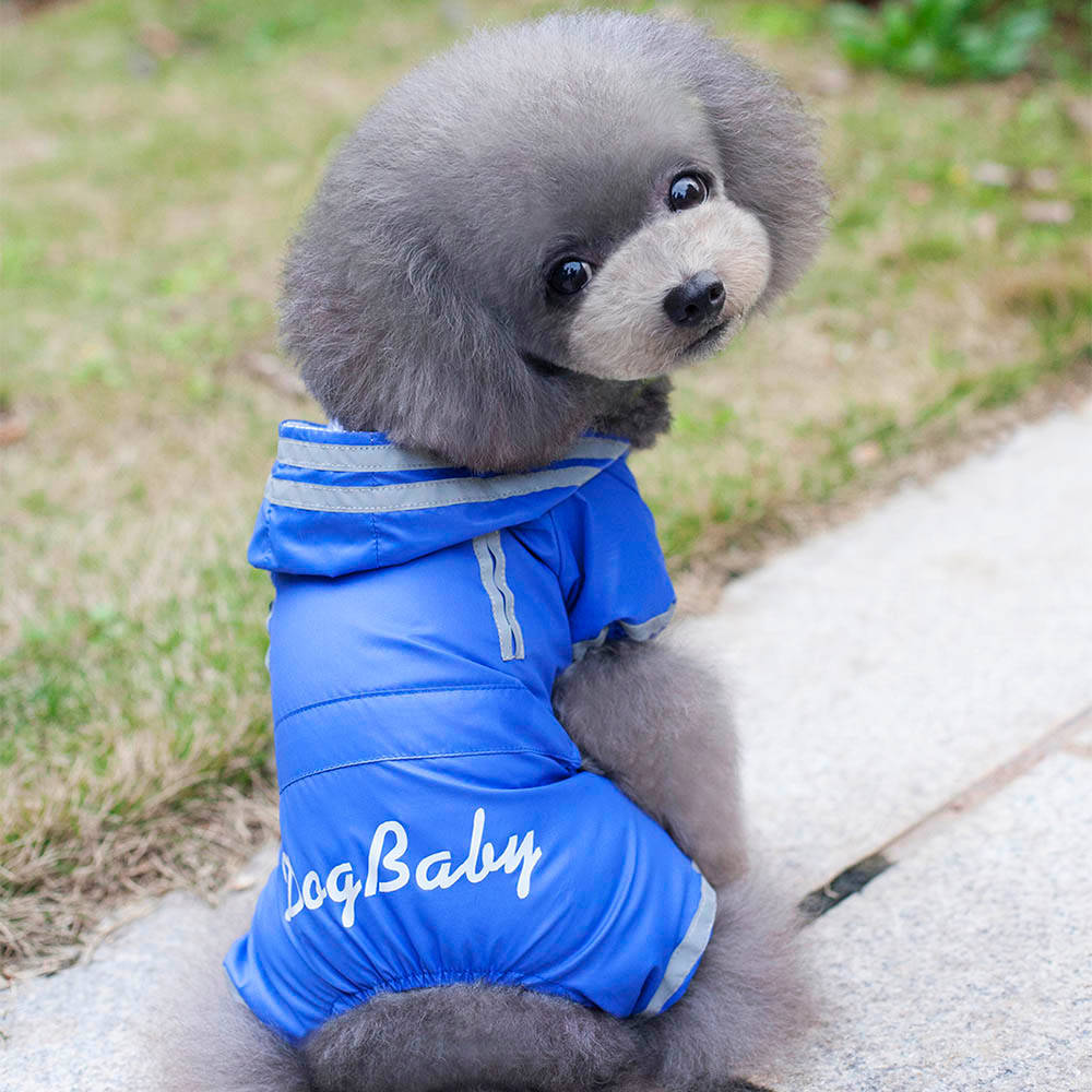 

Дождевик, комбинезон "Dog Baby" для собак. Одежда для собак