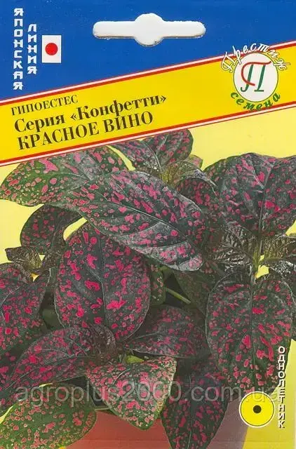 

Семена Гипоестес Конфетти Красное Вино 10 семян Престиж, Красный