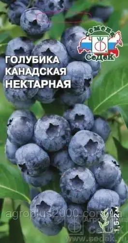 

Семена Голубика Канадская Нектарная 0,05 грамма Седек