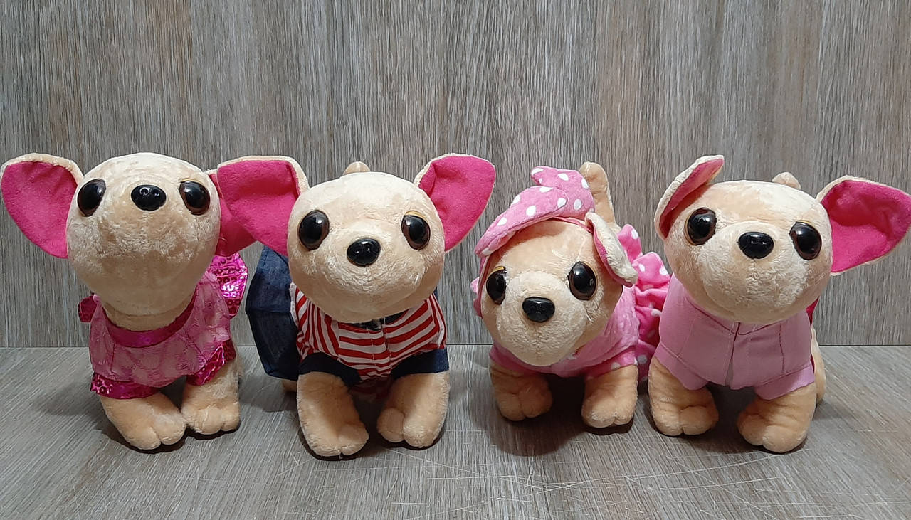 

Собачка в сумке Chi chi Love