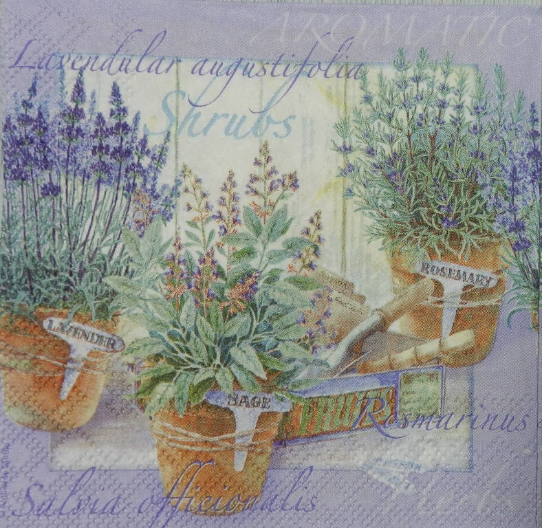 

Салфетка для декупажа ПТ-165 (25х25см)