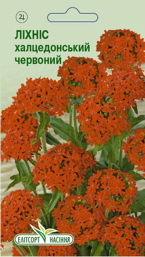 

Семена цветов Лихнис Халцедонський красный 0,2 г ЭлитСорт