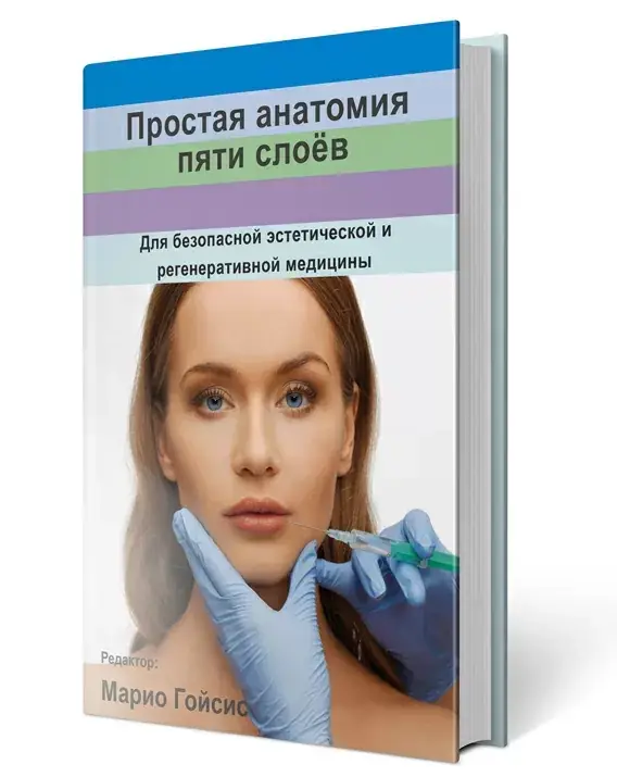 

Простая анатомия пяти слоев Др. Марио Гоисис