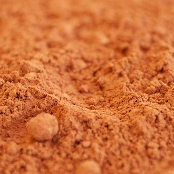 

Какао порошок натуральный ТМ Cargill Gerkens NA55