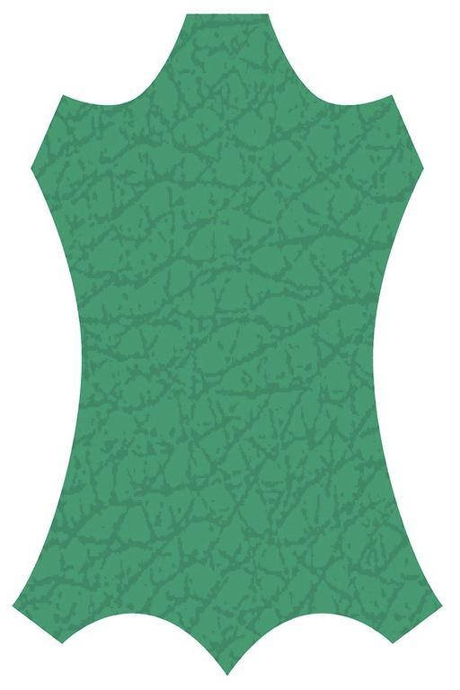 

Краска для кожи KENDA FARBEN TOLEDO SUPER, зеленый, 100 мл. (33048), Зелёный