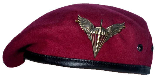 

Комплект ДШВ (беретный знак, берет)