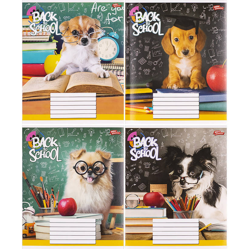 

Тетрадь цветная 12 листов «Мрiї збуваються» КЛЕТКА «Back to school» / зошит 12 аркушів в клітинку