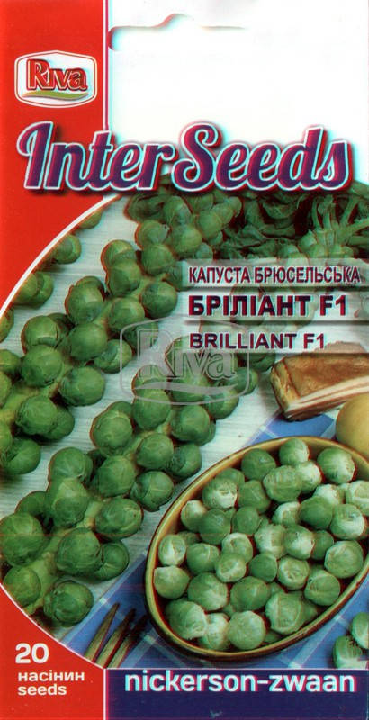 

Семена Капуста брюссельская Бриллиант F1, 20 семян Nickerson Zwaan