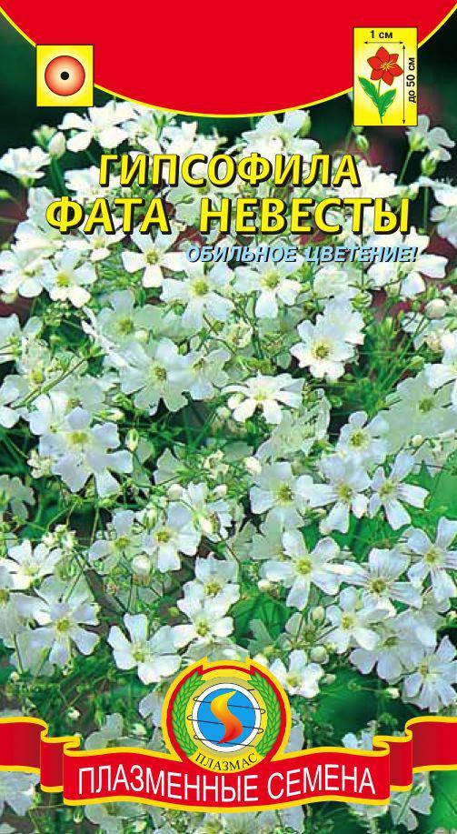 

Гипсофила Фата невесты 0,5 г (Плазменные семена)