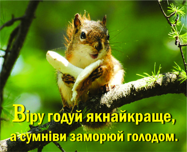 

Міні-листівка: Віру годуй якнайкраще, а сумніви заморюй голодом. # 136
