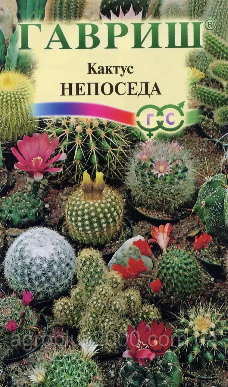 

Семена Кактус Непоседа 0,05 грамм Гавриш